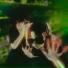 Midix. Matrix (Hilzu rewerb)