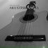 Akustisk Gitarr