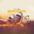 Sonalyis