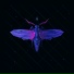 Electric Mantis x Mothica