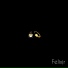 Felixjr