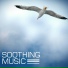 Soothing Music Ensamble