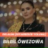 Bilbil