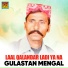 Gulastan Mengal
