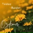 Özdemir