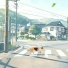 轻松频率, Zizz