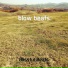Blissful Beats