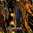 Galstarr feat. Killah Priest