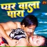 Vinay Vinayak, Priyanka Singh Chauhan