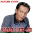 PARLIN LUBIS