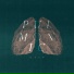 Pulmonic