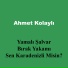 Ahmet Kolaylı