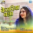 Vikram Singh Rajpurohit, Pooja Nagar