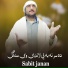 Sabit janan