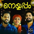 Musthafa AM, Sakeer Husain KT, Jasmin