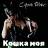 КОШКА ( муз.испол. Сергей Шанс сл. Ю.Осиян)