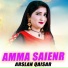 Arslan Qaisar