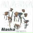Alaska