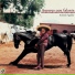 Antonio Aguilar