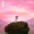 MitiS