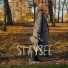 Staysee