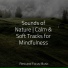 Chillout Lounge, Best Kids Songs, Sleeping Music