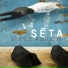 SETA