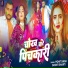 Mohit Singh, Srishti Bharti