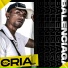 MC CRIA VP
