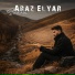 Araz Elyar