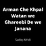 Sadiq Afridi