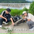 CONTNEW