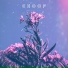 Choof