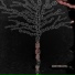 Dechakhal