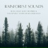 Emmanuel Forest