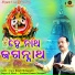 Ghanashyam Senapati