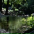 Nature Sounds