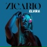 Zicario