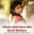 Laxman Dhoomketi feat. Sarojni Dhoomketi