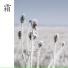 键与弦, 鍵與弦