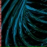 Vione
