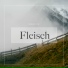 Mirsbauch