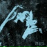 Noell
