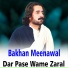 Bakhan Meenawal