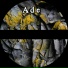Ade