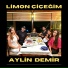 Aylin Demir