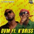 DVM feat. K briss