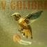 V.Colibri