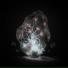 ARCHETYPE