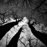 FullFundus